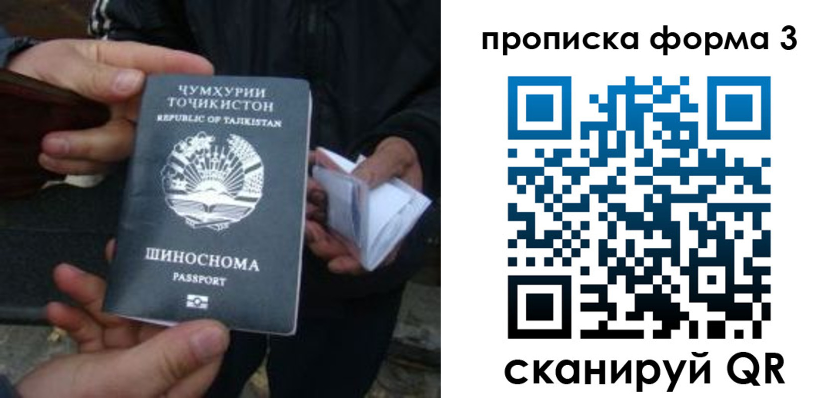 прописка 2025 в Михайловке